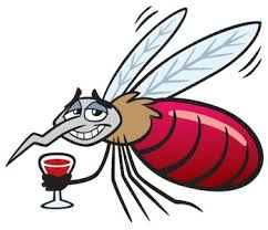 Calculator plase insecte